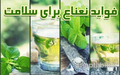 نعناع؛ از طب سنتی تا پزشکی مدرن