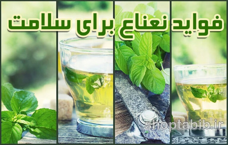 نعناع؛ از طب سنتی تا پزشکی مدرن