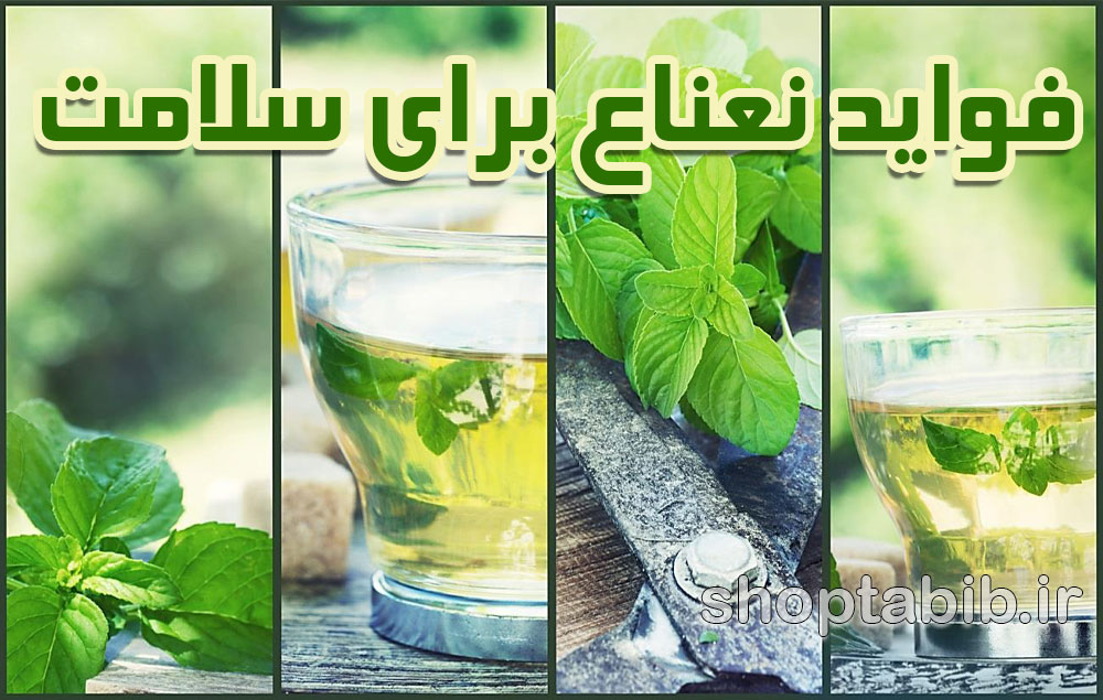 نعناع؛ از طب سنتی تا پزشکی مدرن