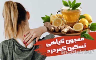 معجون گیاهی برای تسکین کمردرد/ راهنمای کامل درمان اینجاست