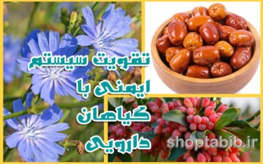 تقویت سیستم ایمنی با گیاهان دارویی؛ برای سلامتی مدرن راهکاری سالم برگزینیم