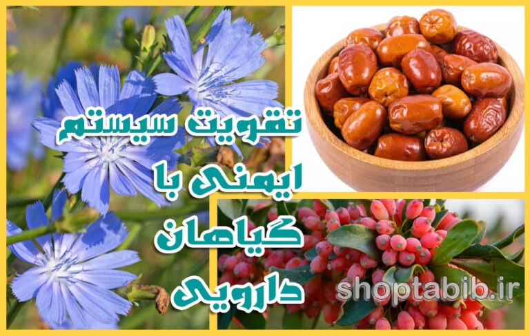 تقویت سیستم ایمنی با گیاهان دارویی؛ برای سلامتی مدرن راهکاری سالم برگزینیم