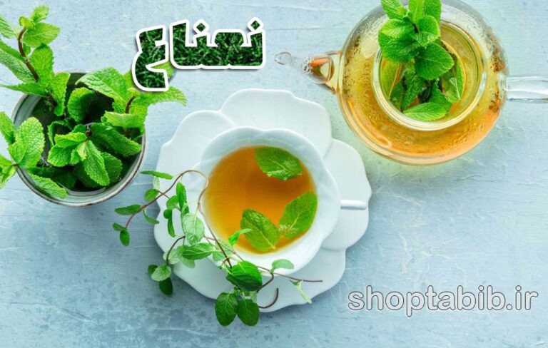 نعناع؛ گیاهی پرخاصیت با تاریخچه ای کهن و فواید بی شمار