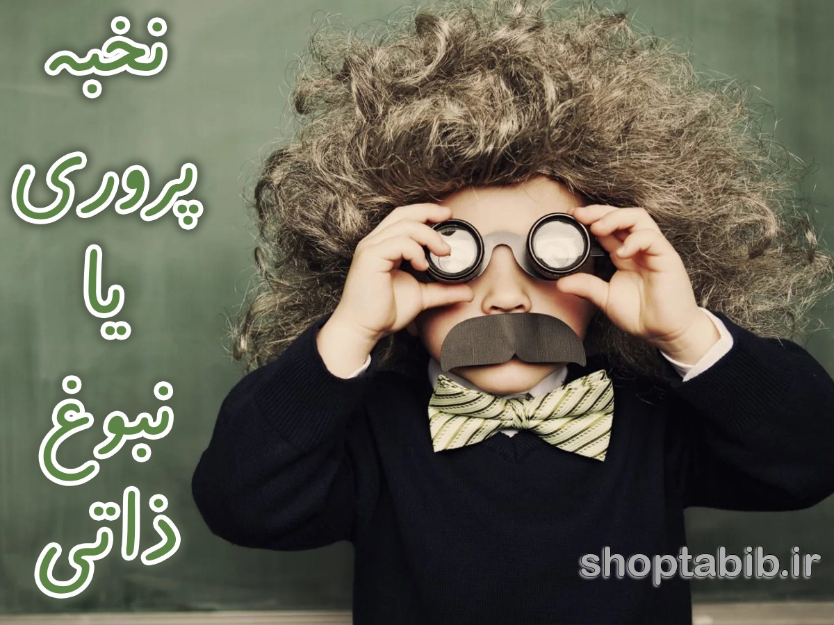 نبوغ ذاتی یا پرورش هوشمندانه؟ راهنمای علمی برای شکوفایی استعداد کودکان