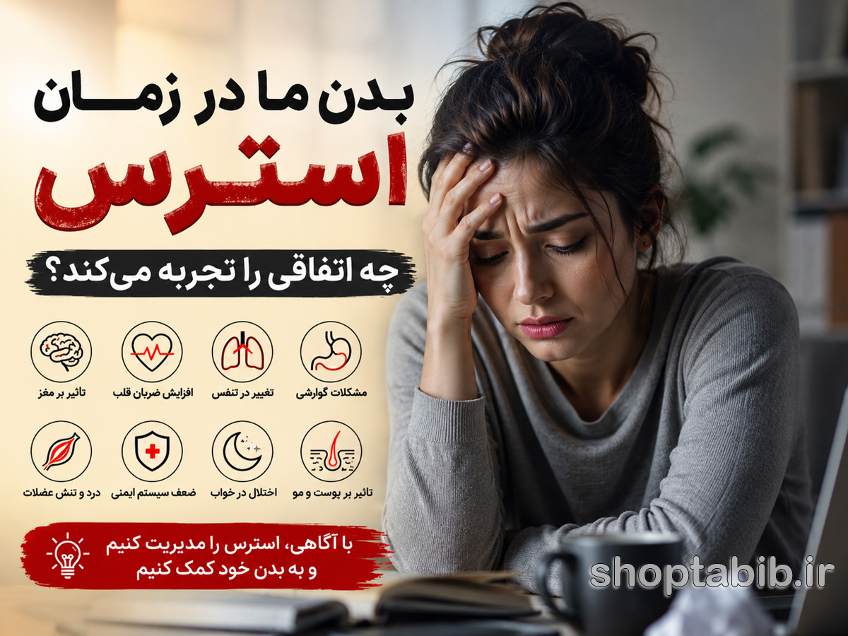 بدن ما در زمان استرس چه اتفاقی را تجربه می‌کند؟ سفری به درون بدن در لحظات فشار