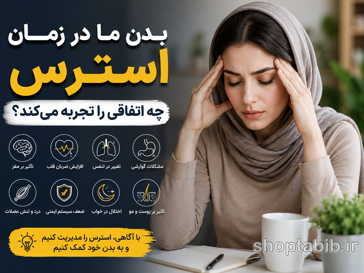 بدن ما در زمان استرس چه اتفاقی را تجربه می‌کند؟ سفری به درون بدن در لحظات فشار