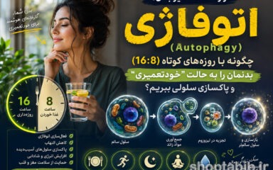 اتوفاژی و روزه ۱۶:۸ چیست؟ | راز پاکسازی سلولی + فواید و عوارض