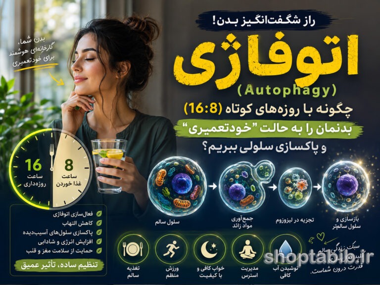 اتوفاژی و روزه ۱۶:۸ چیست؟ | راز پاکسازی سلولی + فواید و عوارض