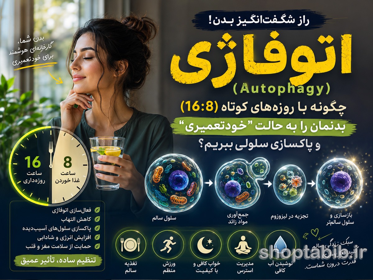 اتوفاژی و روزه ۱۶:۸ چیست؟ | راز پاکسازی سلولی + فواید و عوارض