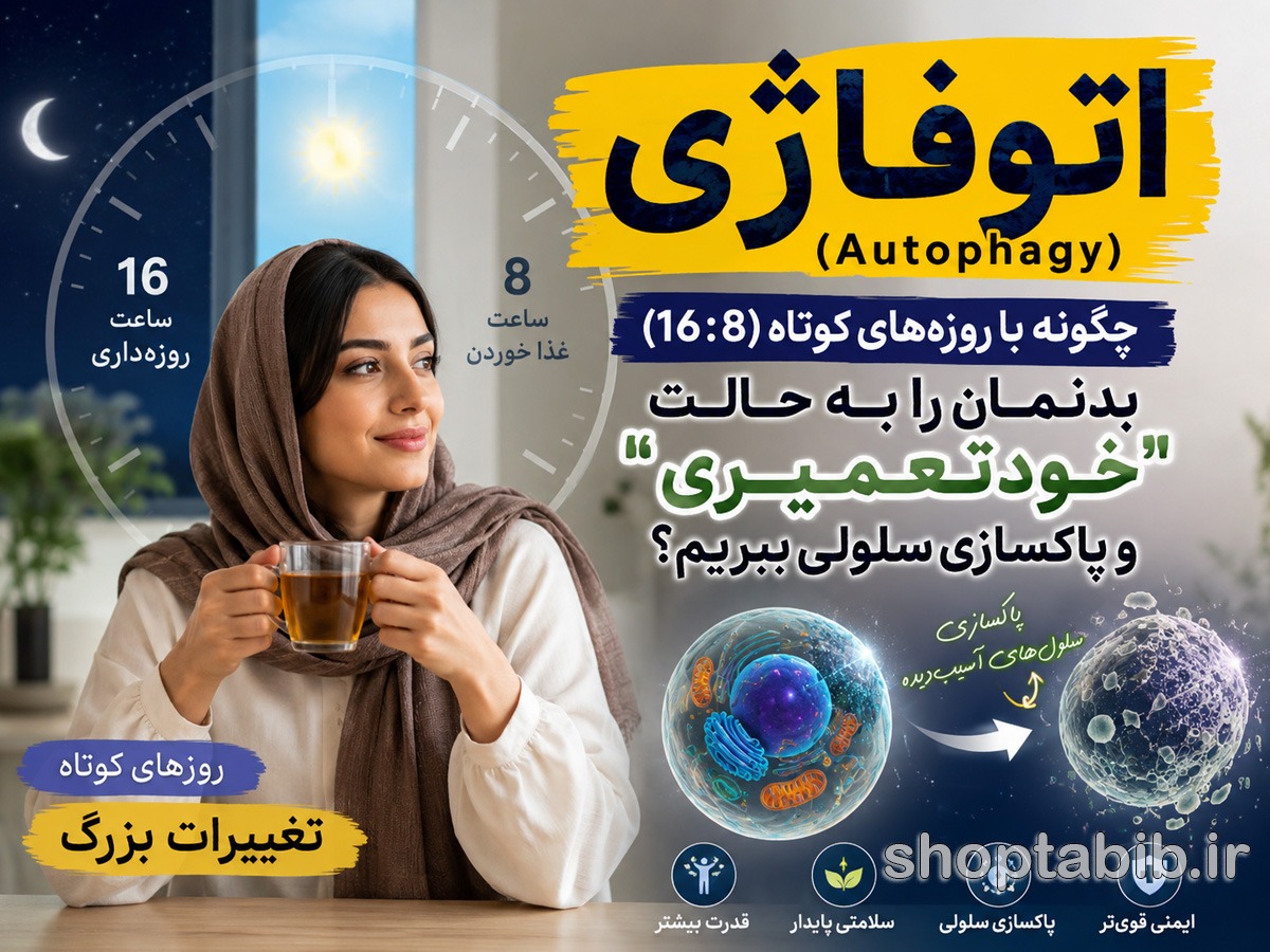 اتوفاژی و روزه ۱۶:۸ چیست؟ | راز پاکسازی سلولی + فواید و عوارض
