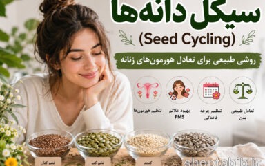 سیکل دانه‌ها (Seed Cycling) چیست؟ فواید، نحوه مصرف، برنامه کامل و تأثیر بر هورمون‌های زنانه