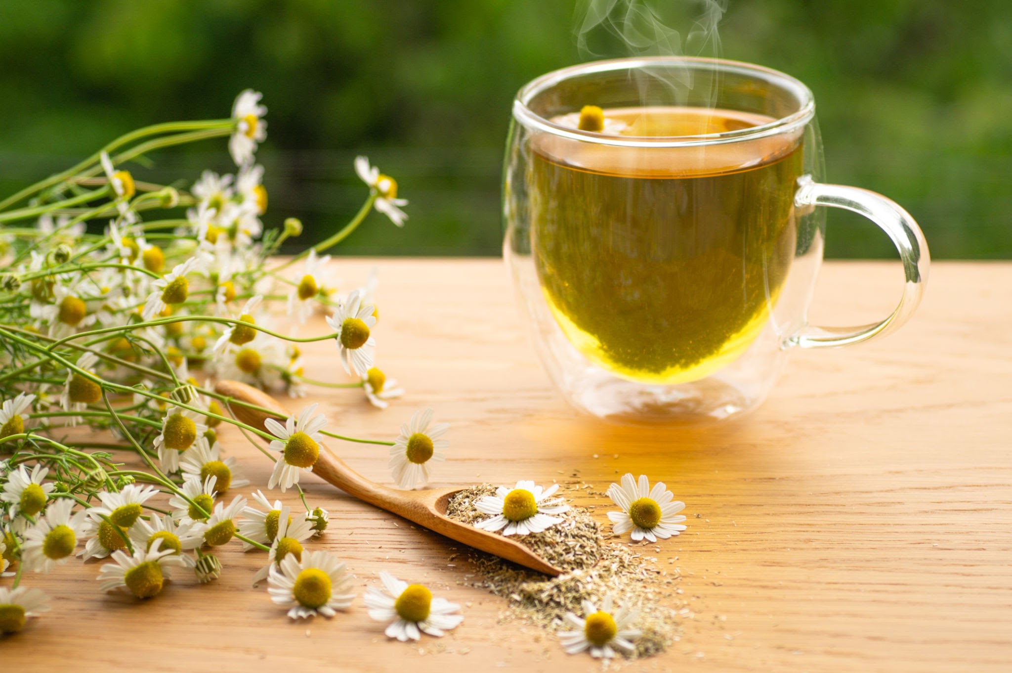 دمنوش بابونه؛ کاهش استرس برای حفظ تعادل هورمونها