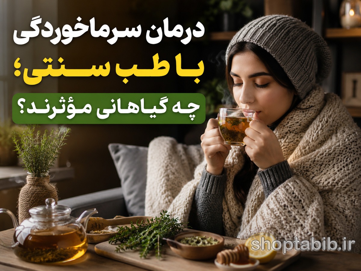 برای سرماخوردگی چی بخوریم؟ ۱۰ گیاه دارویی و دمنوش مؤثر برای درمان در خانه